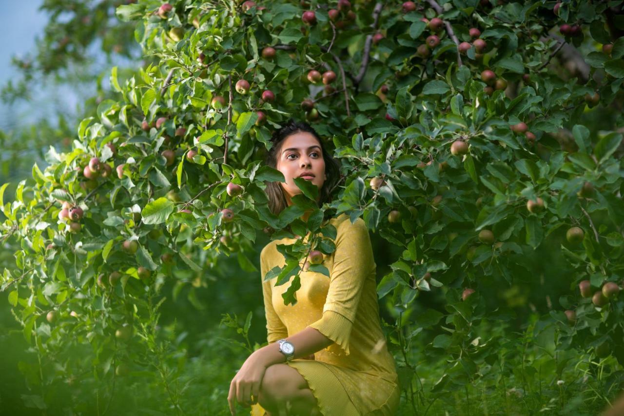 सहारा Apple Country Resorts- A Vegetarian Place 4*